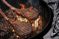 Grill Master (~25Lbs)